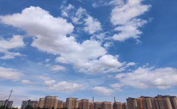 树和天空读后感8篇