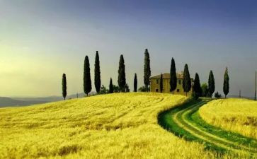 读麦田里的守望者读后感优秀8篇