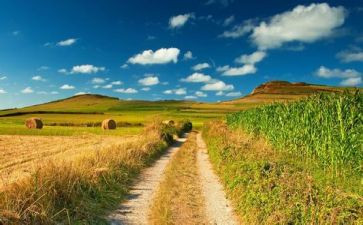 读《麦田里的守望者》心得体会8篇