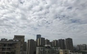 关于冷天气的作文精选6篇
