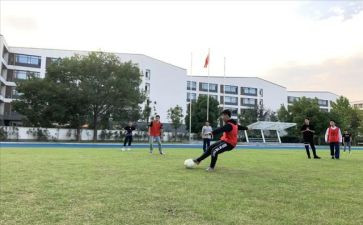体卫处工作计划推荐8篇