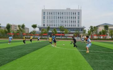 学校体卫工作计划6篇