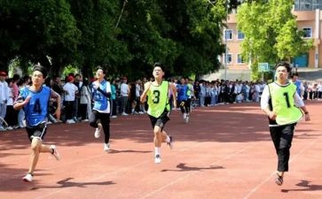 17体艺卫工作总结7篇