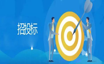 2024年投标员工作总结范文8篇