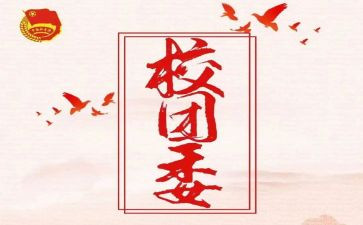 工团委工作总结6篇
