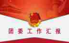 院团委工作计划总结7篇
