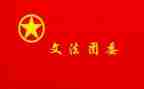 委团委工作总结模板6篇