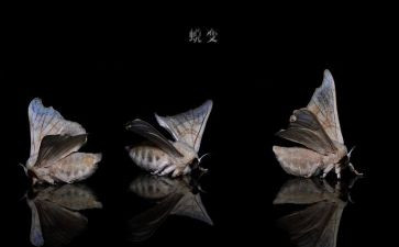 蜕变类作文通用8篇