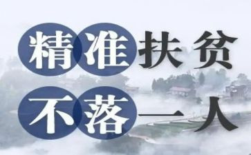 脱贫普查工作总结5篇