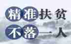 脱贫普查工作总结5篇