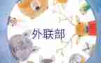 2023外联工作总结7篇