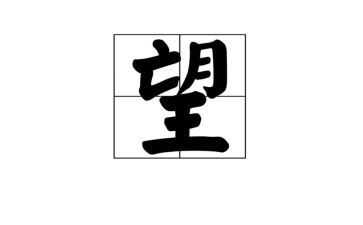 我的愿望作文300字5篇