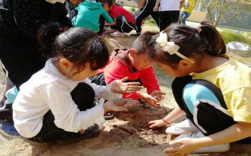 幼儿玩泥巴教案7篇