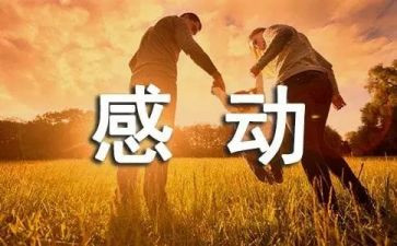 感动地作文800字作文最新6篇