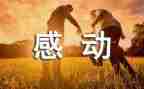 感动地作文800字作文最新6篇