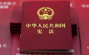 宪法小卫士心得体会6篇