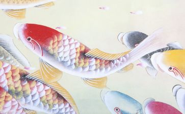 教师文化培训心得体会8篇