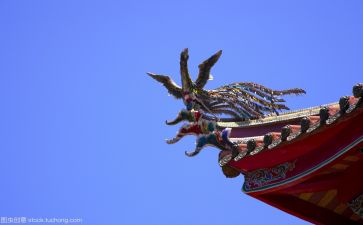 优秀文化活动总结8篇