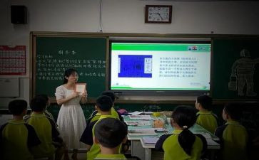 小学语文课文猫教案6篇