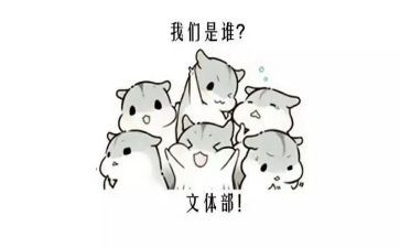 文体处工作总结8篇