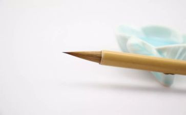 我的母校我的情作文优秀7篇