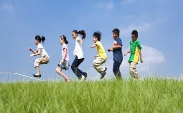 我的小伙伴猫作文500字5篇