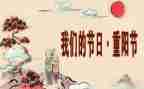 学校我们的节日活动总结8篇
