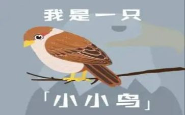 小鸟的歌小班教案8篇