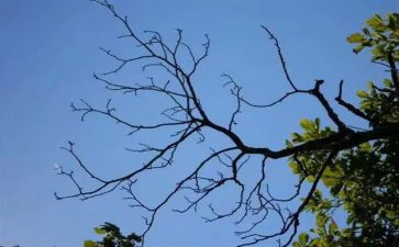 我在变作文400字推荐7篇