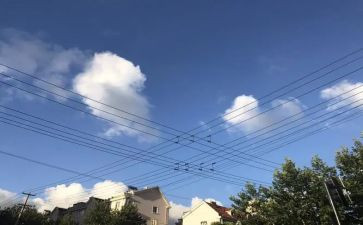 大班我在变教学反思模板8篇
