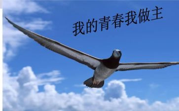 我的我做主作文800字5篇