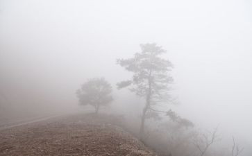 雾的优秀作文模板8篇