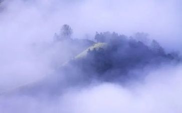 雾的读后感300字优秀8篇