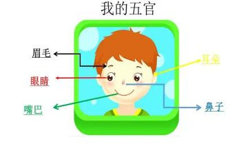 五官科2024年工作计划7篇