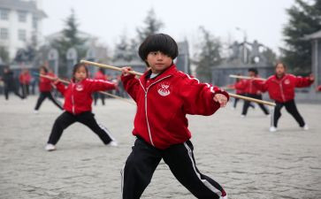 学武术的心得体会6篇