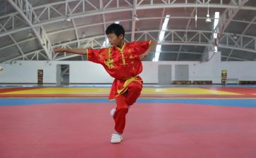 武术工作计划5篇