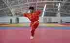 武术工作计划5篇