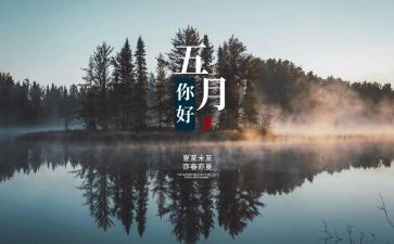 五月主题活动方案7篇