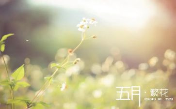 幼儿园五月份工作总结7篇