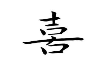 我最喜欢的书作文通用5篇