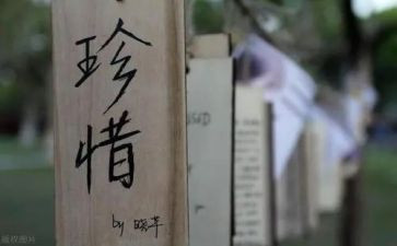 关于珍惜的演讲稿600字7篇