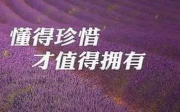 珍惜作文400字6篇