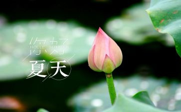 夏天的作文400字优秀作文通用6篇