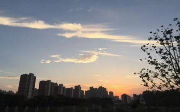 一年级下班级工作总结通用7篇