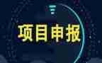 项目主题活动方案6篇