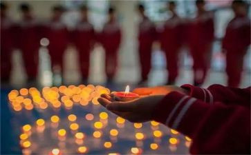 想念猫的作文最新5篇