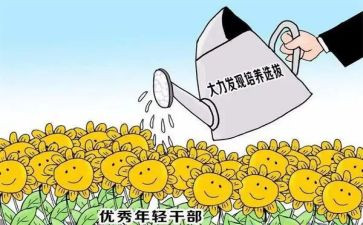 乡镇干部的工作计划6篇