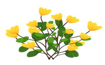 画仙人掌教案7篇