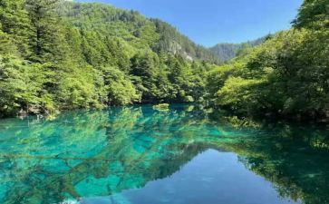 ?野先生读后感7篇