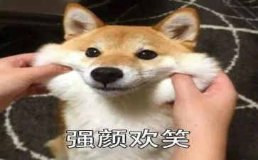 关于笑对挫折的演讲稿通用6篇